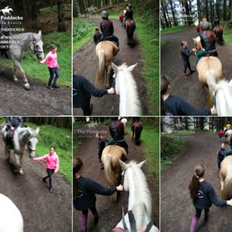 1 hour beginner ride out in the Paddocks Riding Center. 1 hour beginner ride out in the Paddocks Riding Center.