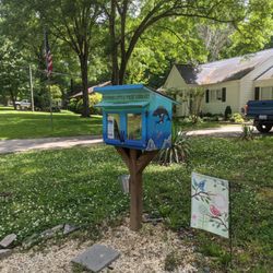 Little Free Library - Little Free Library, 298 Swamp Fox Dr, Fort Mill