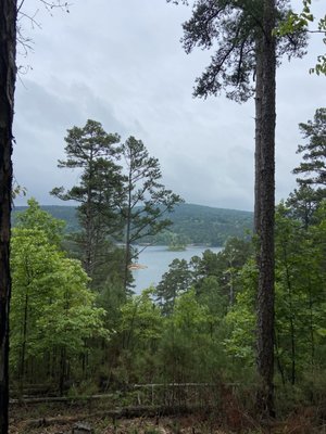 Lake Ouachita State Park by null