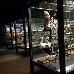 Vitrinas de exposición