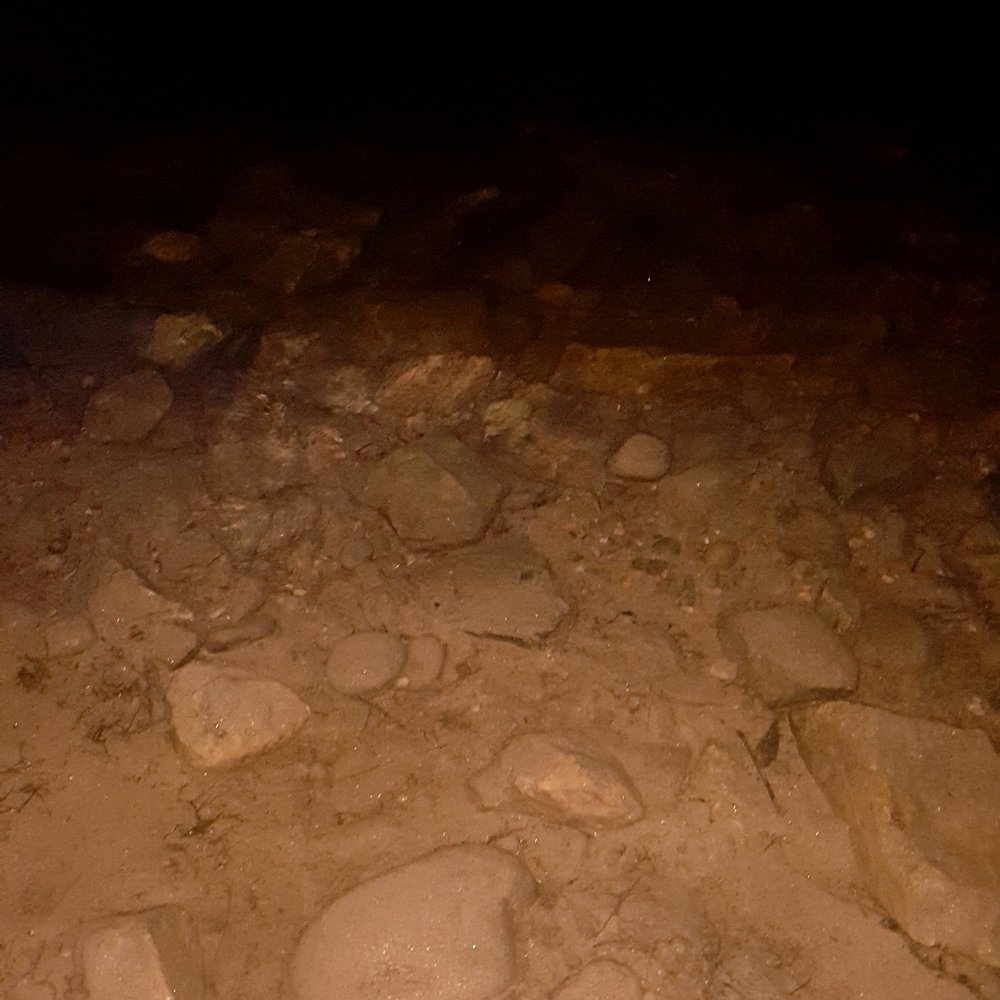 Pigeon River Campground - River is crystal clear... even at night you can see the bottom! - RV Parks Near Me - Hartford, Tennessee Pigeon River Campground - River is crystal clear... even at night you can see the bottom! - RV Parks Near Me - Hartford, Tennessee