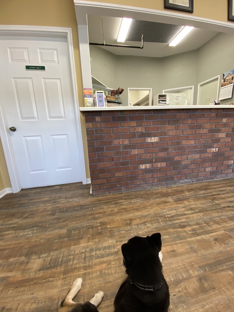 HIGH COUNTRY ANIMAL CLINIC, PA Updated September 2024 56 High