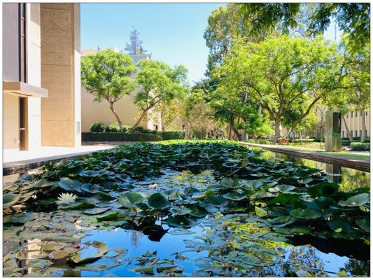 California Institute of Technology by null