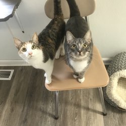 Pender County Humane Society