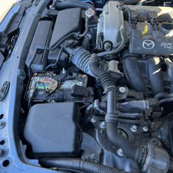 Bernardi Volvo Cars Natick - Here are more signs of rodents lots of acorns around the battery housing