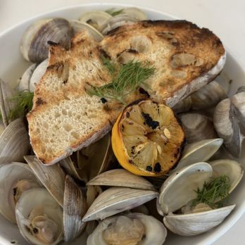 Dorothea - Fine Greek - steamed white wine clams - Greek Near Me - Albuquerque, New Mexico
