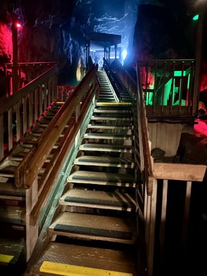 Sea Lion Caves by null