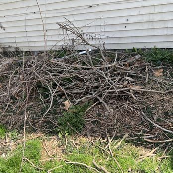 Wakefields Complete Outdoor Service's - Tree Services Near Me Wakefields Complete Outdoor Service's - Tree Services Near Me