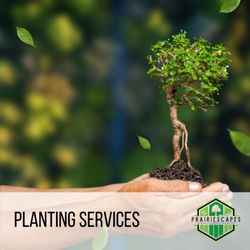 PrairieScapes Landscaping - PrairieScapes Landscaping North Liberty