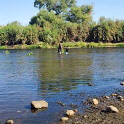 Cottonwood Creek - Watching from the bank since I was injured I would walk my ankles were beyond swallowed...