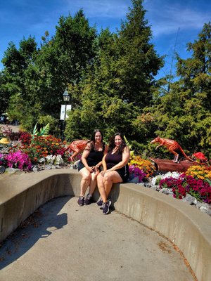 The Buffalo Zoo by null