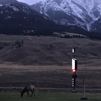 Yellowstone Village Inn and Suites - You will see all kinds of wildlife while you're here! - Hotels Near Me - Gardiner, Montana