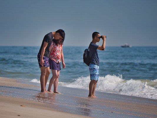 Island Beach State Park by null