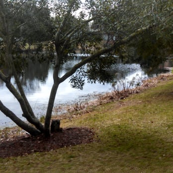 Daniel Island Trails - Hiking Near Me - Charleston, South Carolina