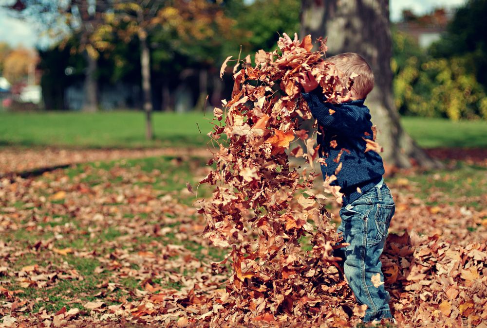 Community Preschool at Lakewood - childcare center in Durham, NC