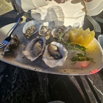Kitty O’Se’s - Oysters on the half shell.  Excellent! - Wine Bars Near Me - Killarney, Kentucky