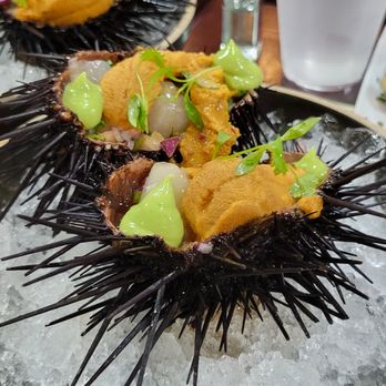 Holbox - Urchin - Latin American Near Me - Los Angeles, California Holbox - Urchin - Latin American Near Me - Los Angeles, California