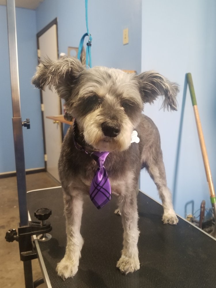 WINNIE’S PET GROOMING PALACE 10905 Oak Wind Ct, Fort Wayne, Indiana