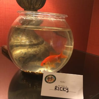 Kimpton Hotel Monaco Seattle - They even have a companion goldfish for the room- how appropriate we got this little guy - Hotels Near Me - Seattle, Washington