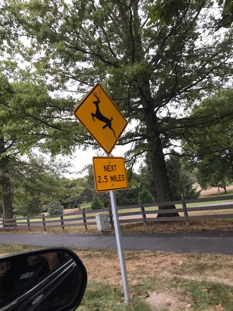 JONES BBQ AND FOOT MASSAGE 15 Photos 119TH St, Chicago, Illinois