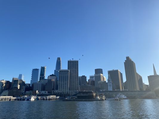 City Cruises by null