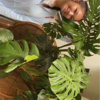 Paraíso Plant Studio - Nurseries & Gardening Near Me - Berkeley, California