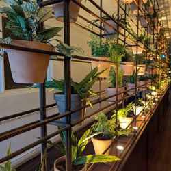 The Botanist