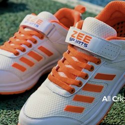 Zee Sports International, Inc