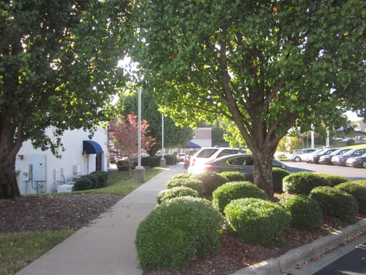 KING ACURA - Updated February 2026 - 27 Photos & 23 Reviews - 1687 ...