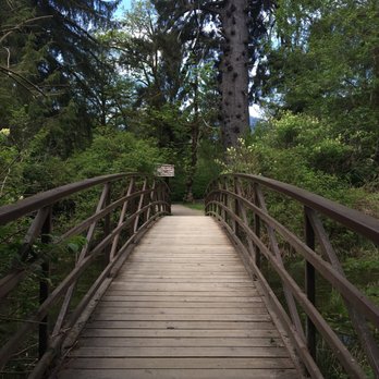 Worlds Largest Spruce Tree - Local Flavor Near Me