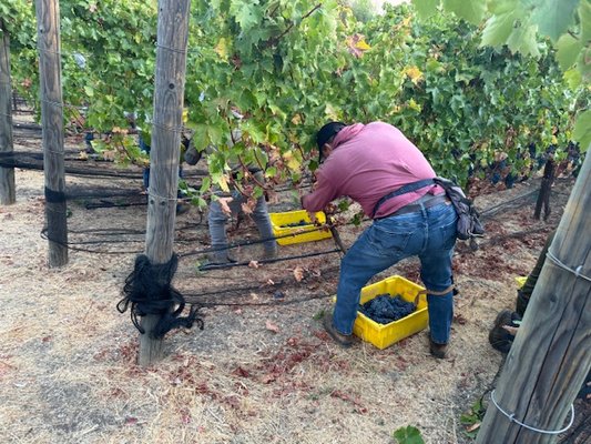 Elleary Wine Tasting Room by null