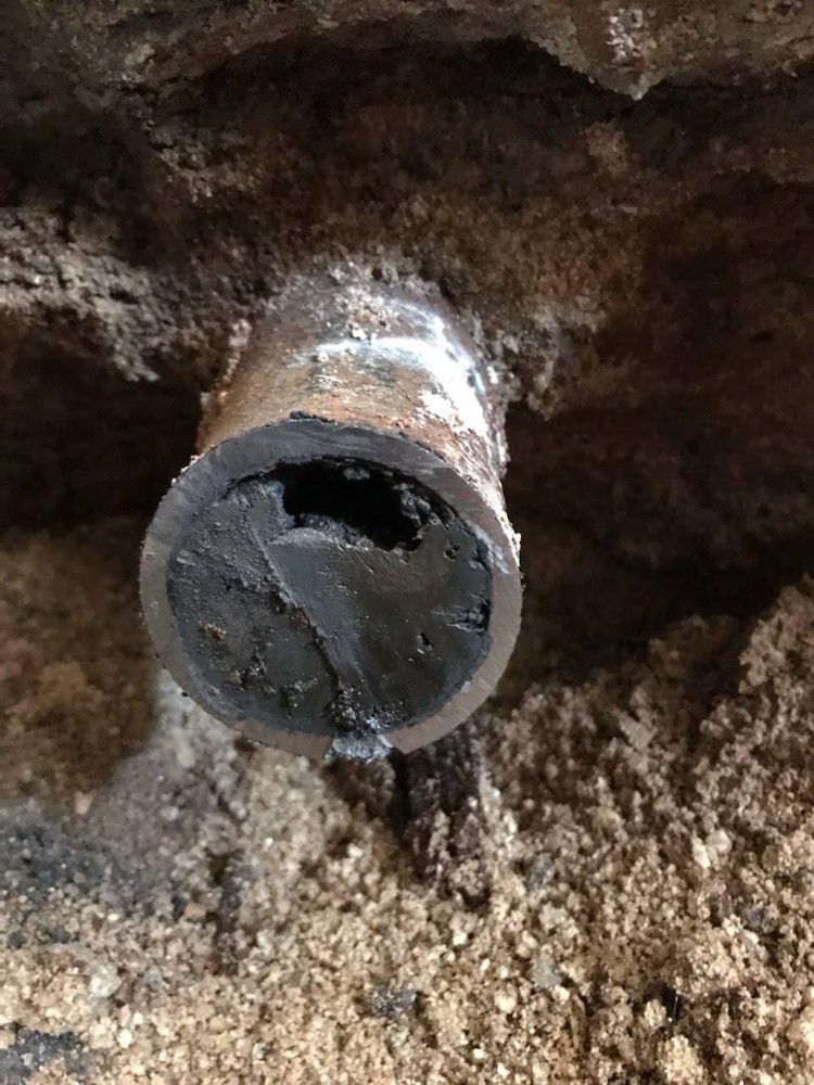 Slide of Idaho Snake-a-Drain
