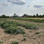 Photo of Hidden Acres Orchards