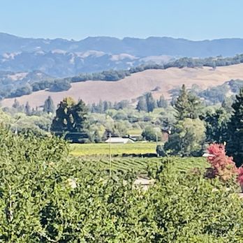 TWOMEY Russian River Valley - Wineries Near Me - Healdsburg, California TWOMEY Russian River Valley - Wineries Near Me - Healdsburg, California