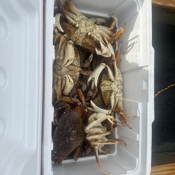 ShrimpDaddy’s Bait & Tackle Shack - Bounty of fresh crab - Hunting & Fishing Supplies Near Me - WAldport, Oregon