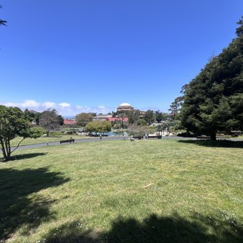 Piccino Restaurant - Views - Italian Near Me - San Francisco, California