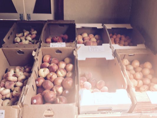 Lake Hills Farm Fresh Produce by null
