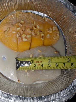 Star of Siam by null