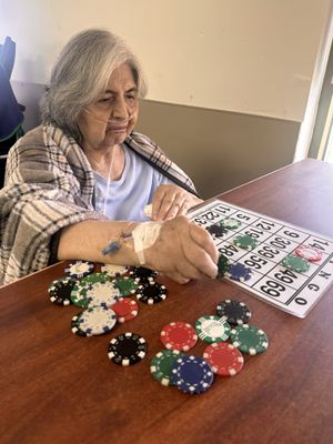 The Pavilion at Sunny Hills by null