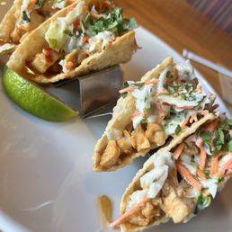 Chicken Wonton Tacos