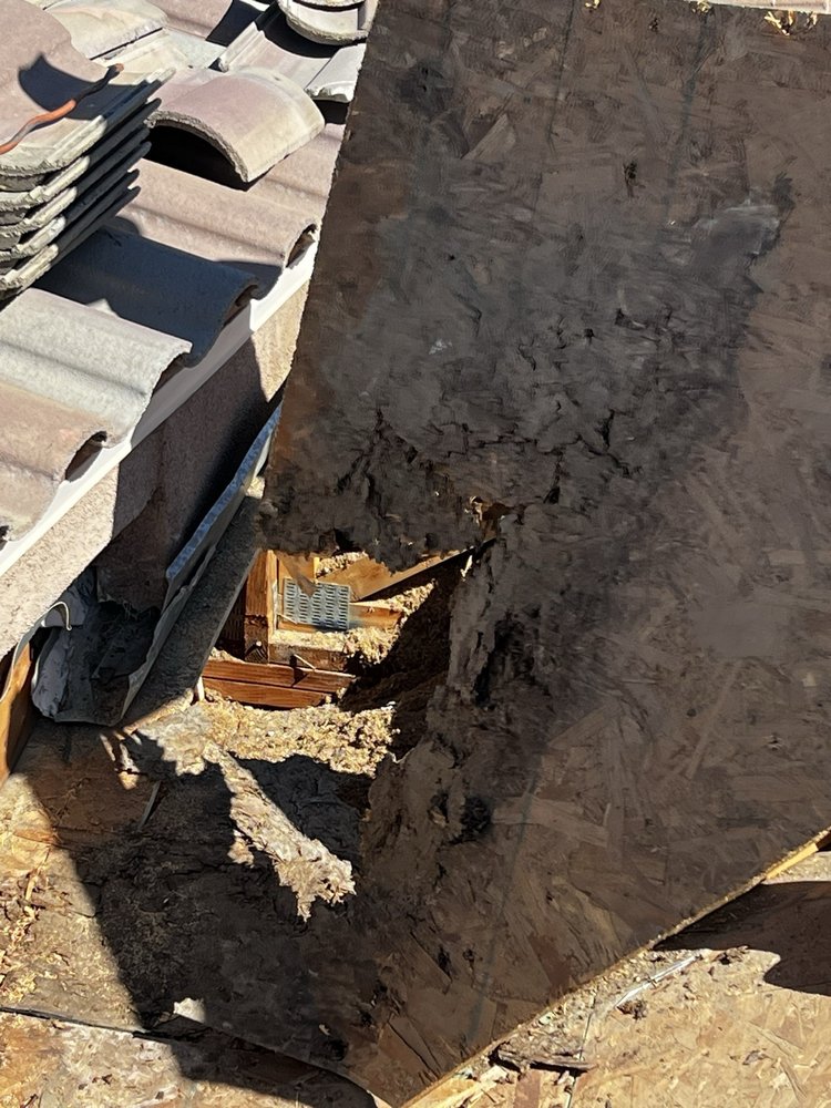 Slide of Manuel Tovar