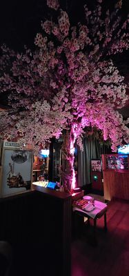 Tara Mor | NYC by null