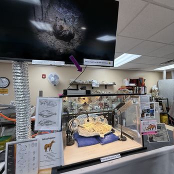 Ben Reifel Visitor Center - Uncovering fossils - Visitor Centers Near Me - Interior, South Dakota