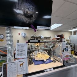 Ben Reifel Visitor Center - Uncovering fossils