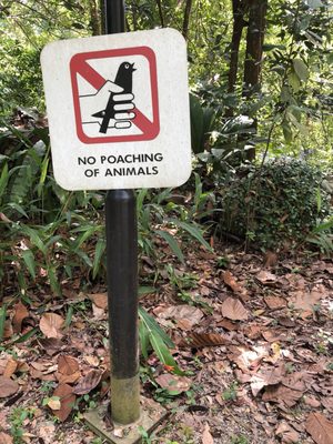 Bukit Batok Nature Park by null