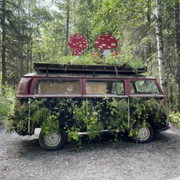 Art installation with plants Art installation with plants
