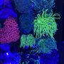 Photo of Poseidon Aquarium