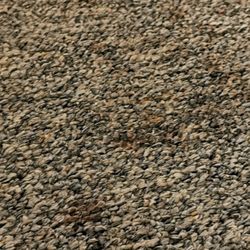 Dune Crest Hotel - Stained rug