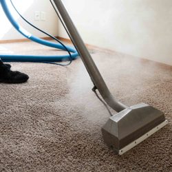 Rick's Professional Carpet Cleaning - A photo of carpet being professionally steam cleaned.