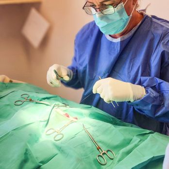 Dynamite Animal Hospital - Veterinarians Near Me - Scottsdale, Arizona